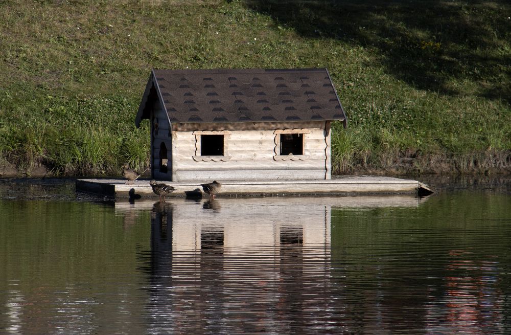 Photograph by Михаил Кулижников