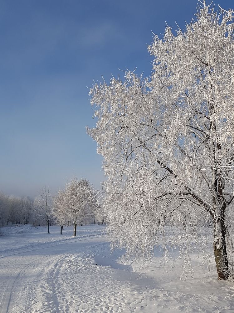 Photograph by Татьяна Яркович