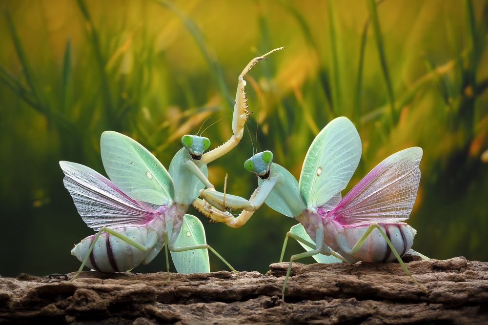 Photograph by way pang