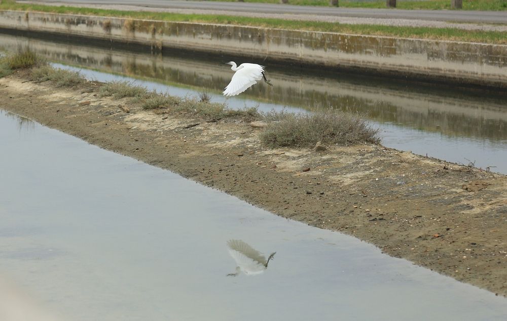 Photograph by Марина Юрченко