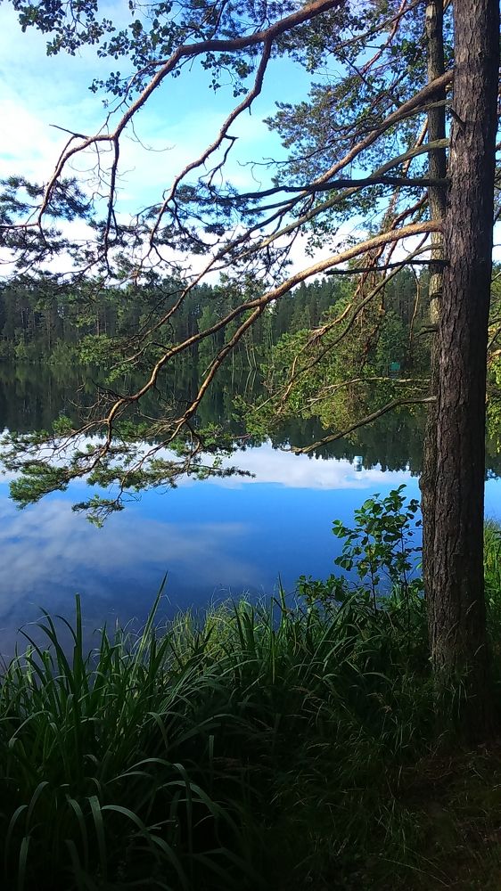 Photograph by Александр