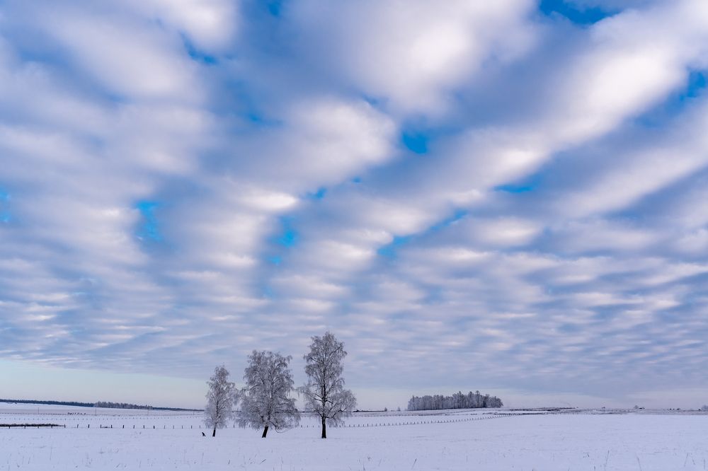 Фотография автора Михаил