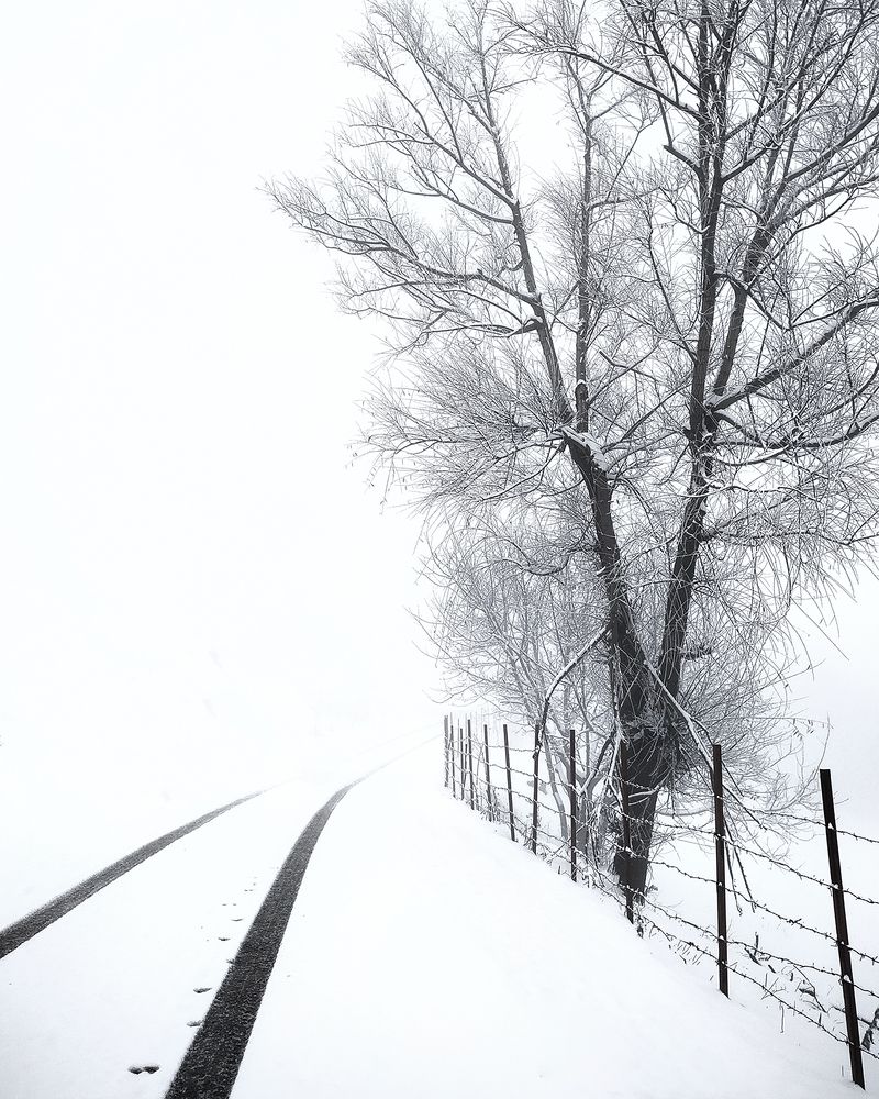 SNOW ROAD
