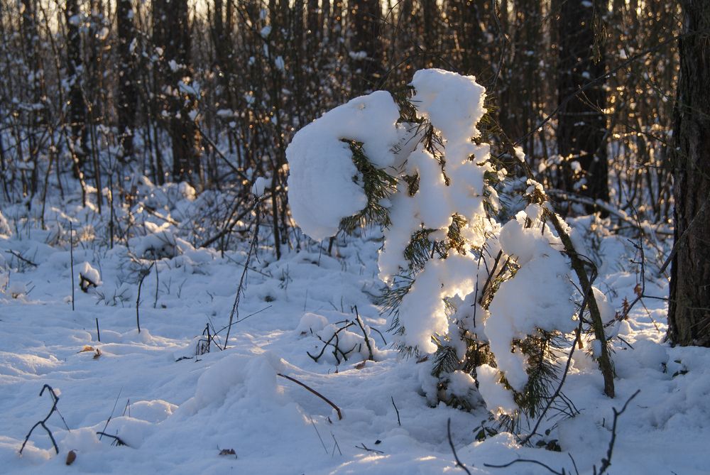 Photograph by Екатерина Бахтинова