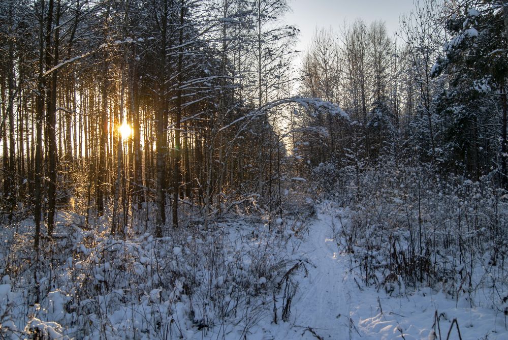 Photograph by Екатерина Бахтинова