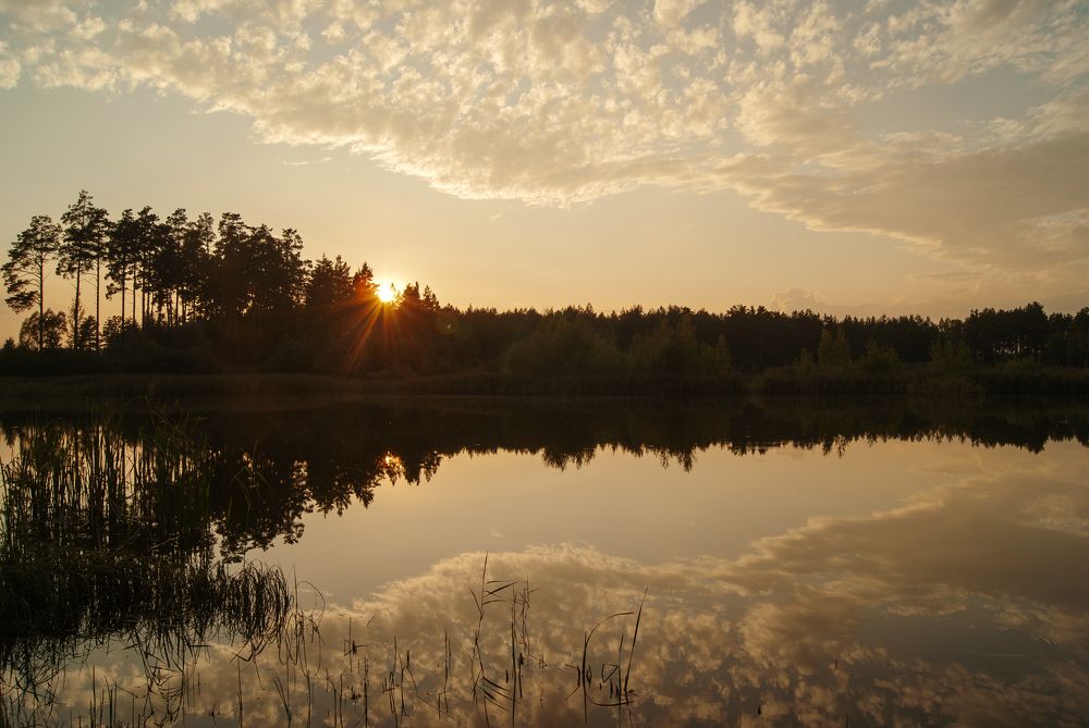 Photograph by Екатерина Бахтинова