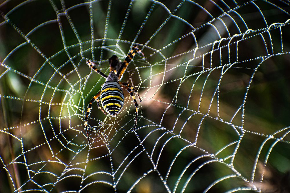 Photograph by Zana Hrkac