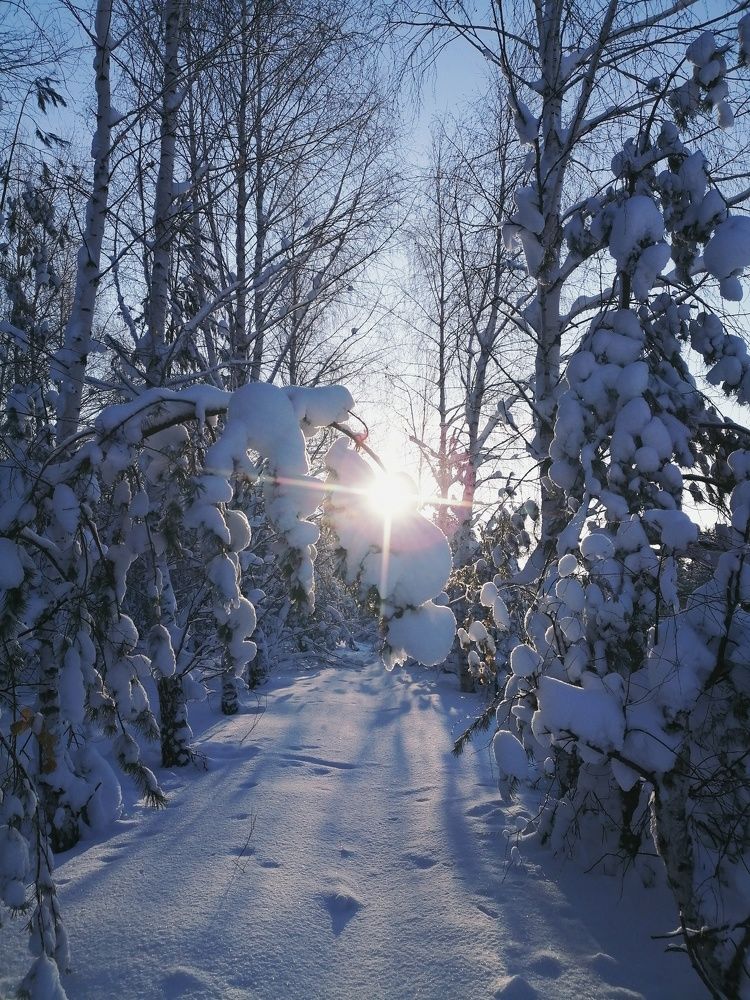 Photograph by Сергей Пилипчук