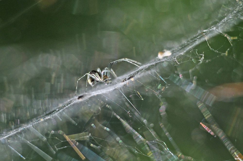 Photograph by Юрий Яковлев