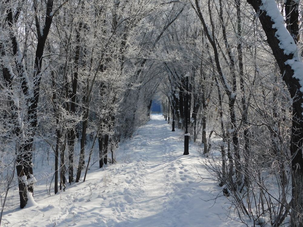 Photograph by Сергей Чеченов