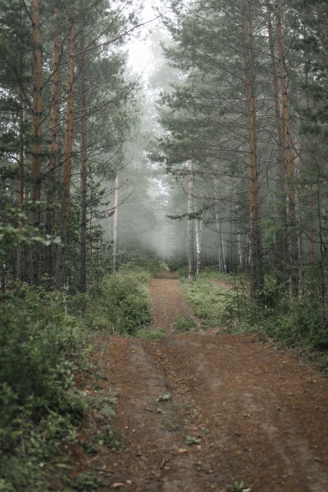 Photograph by Анастасия Юльтимирова