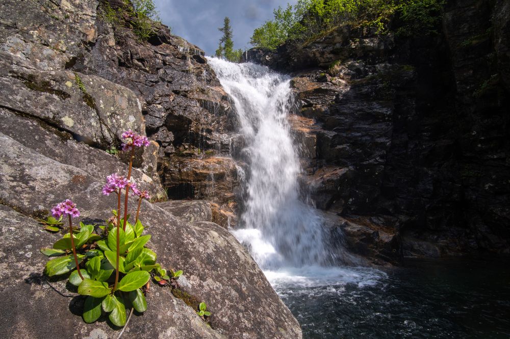 Фотография автора Михаил