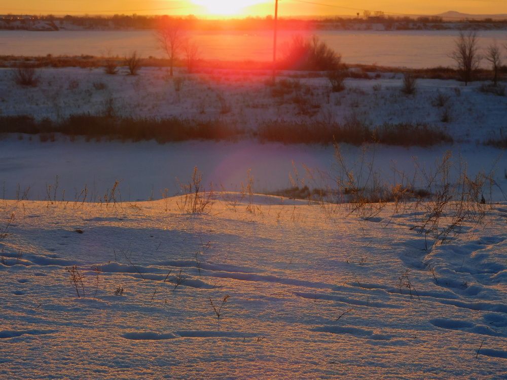 Photograph by Сергей Чеченов