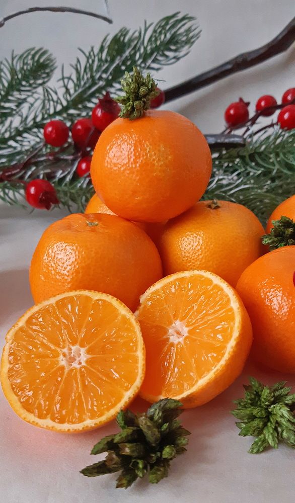 Фотография автора Ирина Лукьянчик