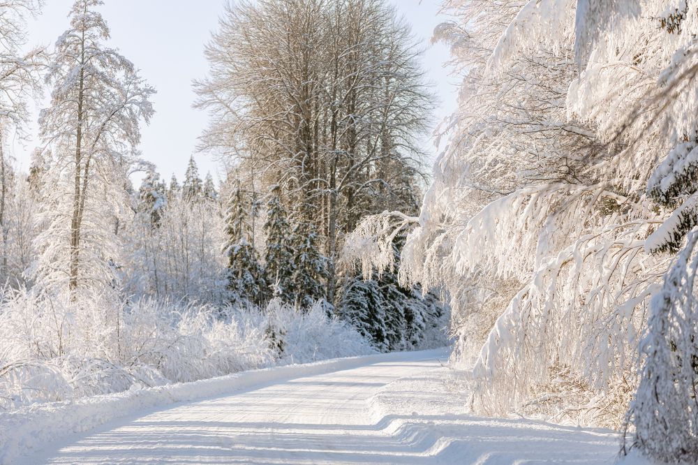 Photograph by Julija Lurina