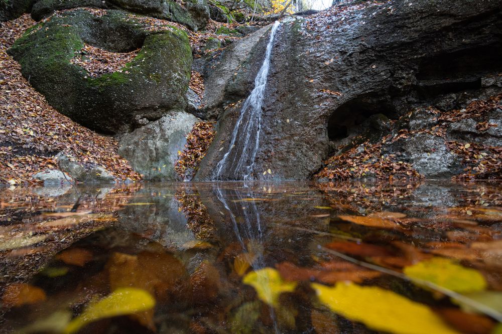 Фотография автора Михаил