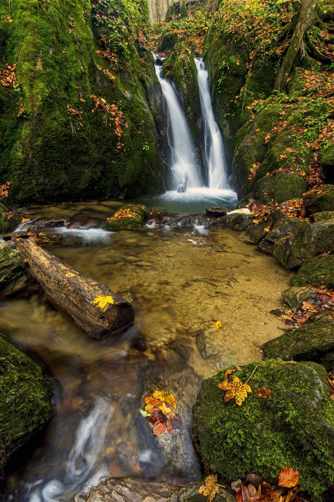 Photograph by Catalin Lazar