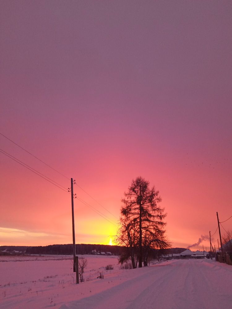 Photo #6959333