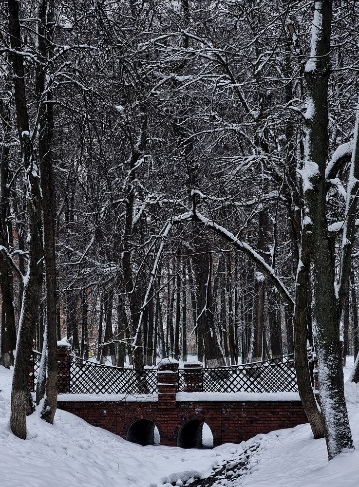 Photograph by Евгения Жданова