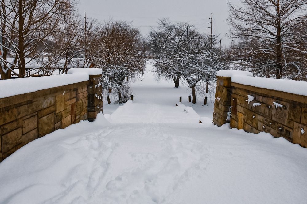 Photograph by Mario Micu