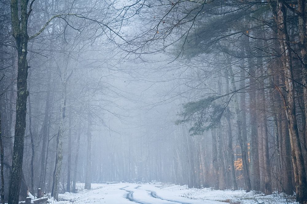 Photograph by Mario Micu