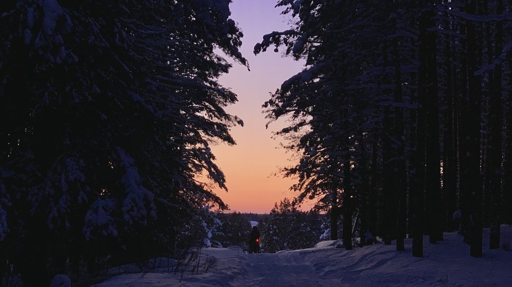 Photograph by Дмитрий Исаев