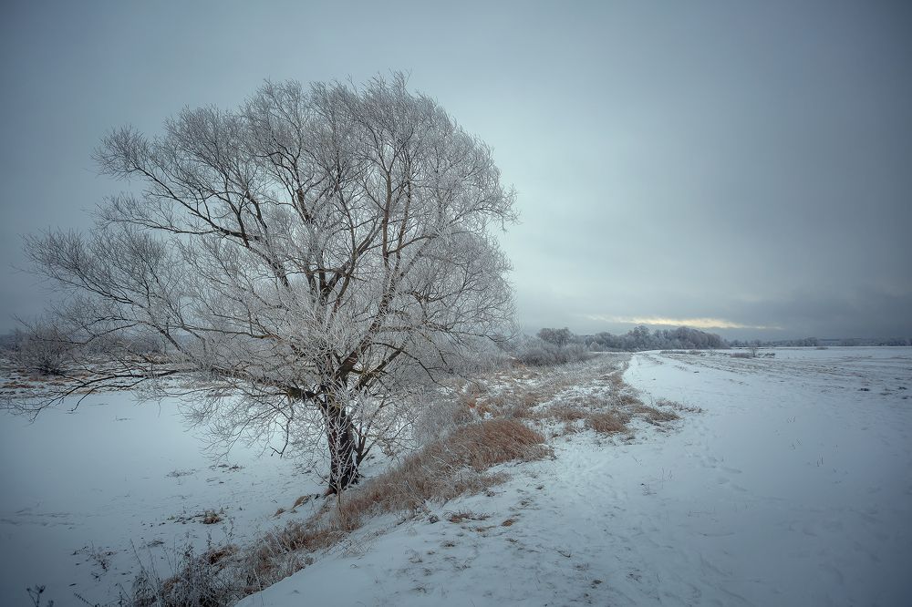 Фотография автора 