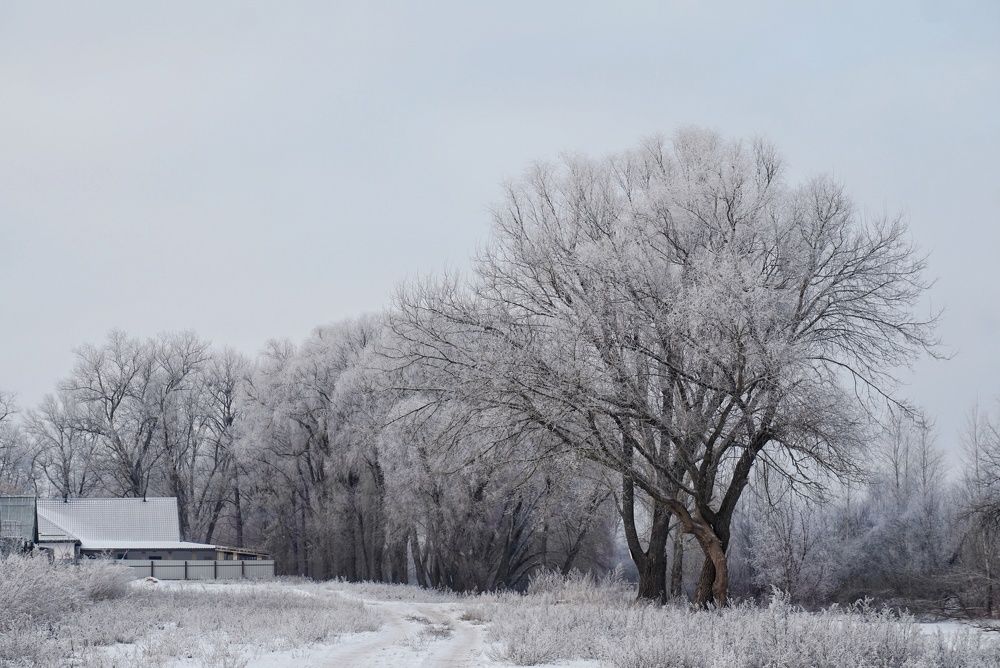 Photograph by Andreas Koff