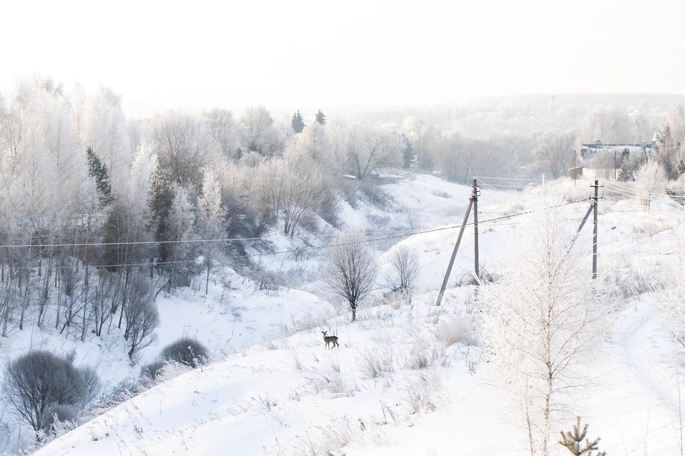 Photograph by Анастасия Сошенкова