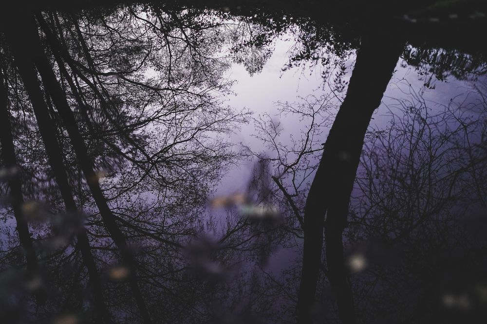 Photograph by Анастасия Исаичева