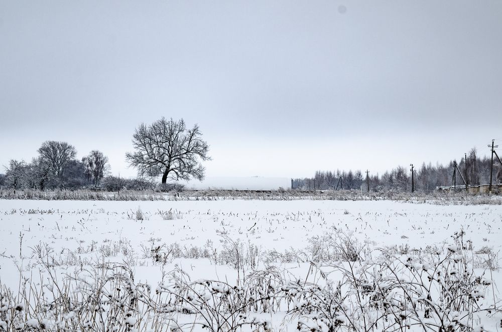 Photograph by Антон Круговов