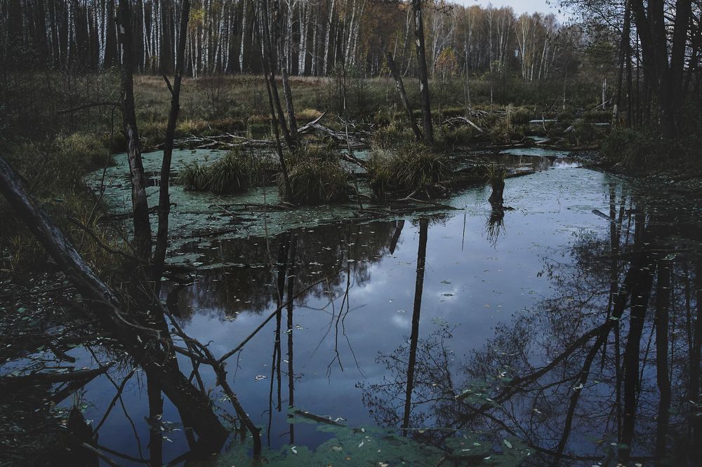 Photograph by Анастасия Исаичева