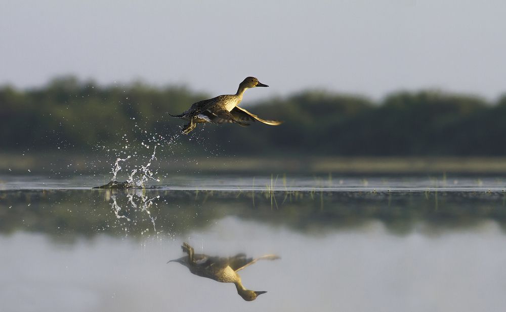 Photograph by Harsha Matarage