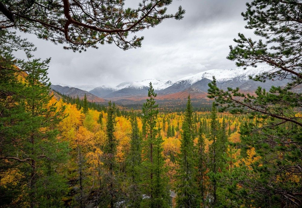 Photograph by Павел Ившин