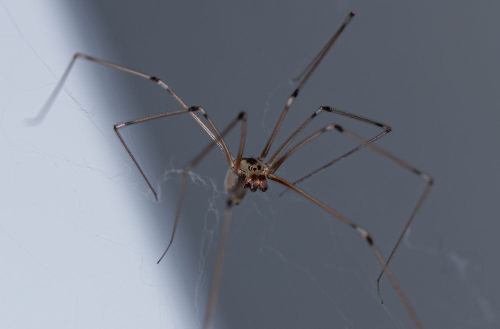 Photograph by Marta Magiera