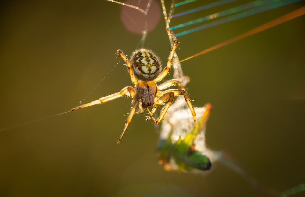 Photograph by Marta Magiera