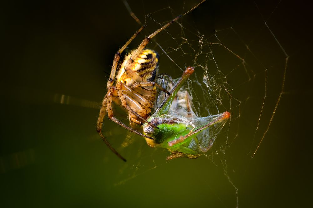 Photograph by Marta Magiera