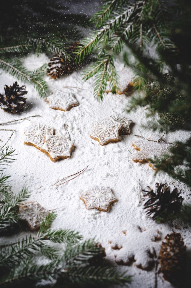 Фотография автора Виктор Мошко