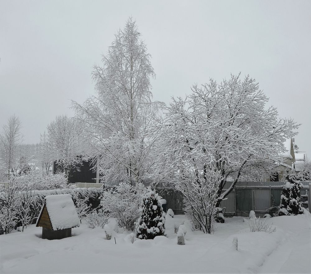 Photograph by Владимир  Асриян