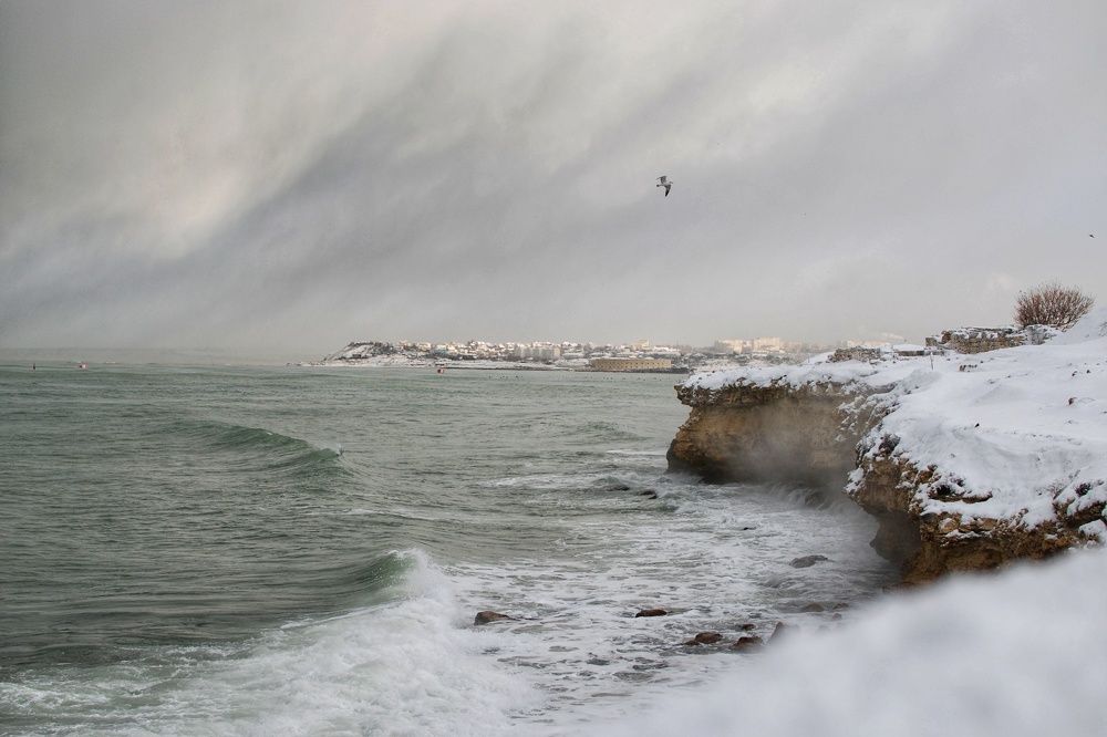 Photograph by Anna Parshenko