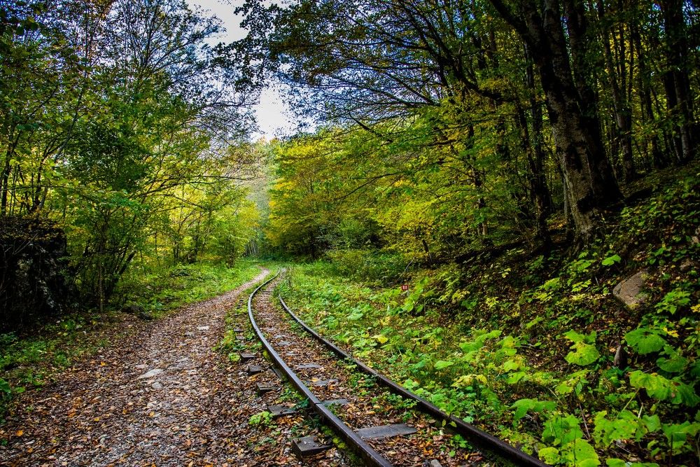 Photograph by Михаил Кравченко