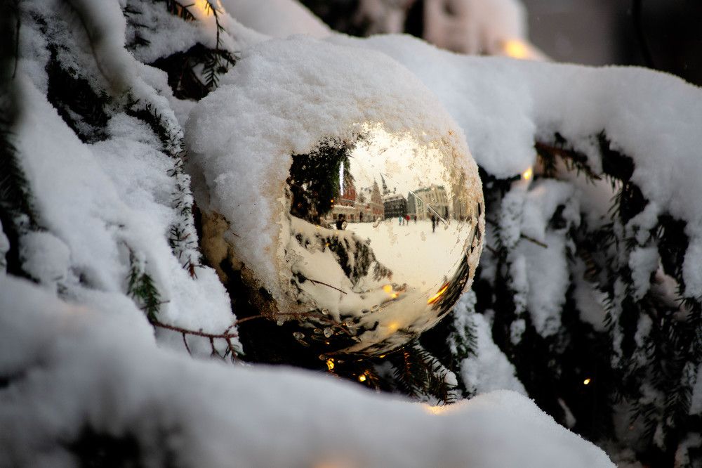 Photograph by Дима Захаров