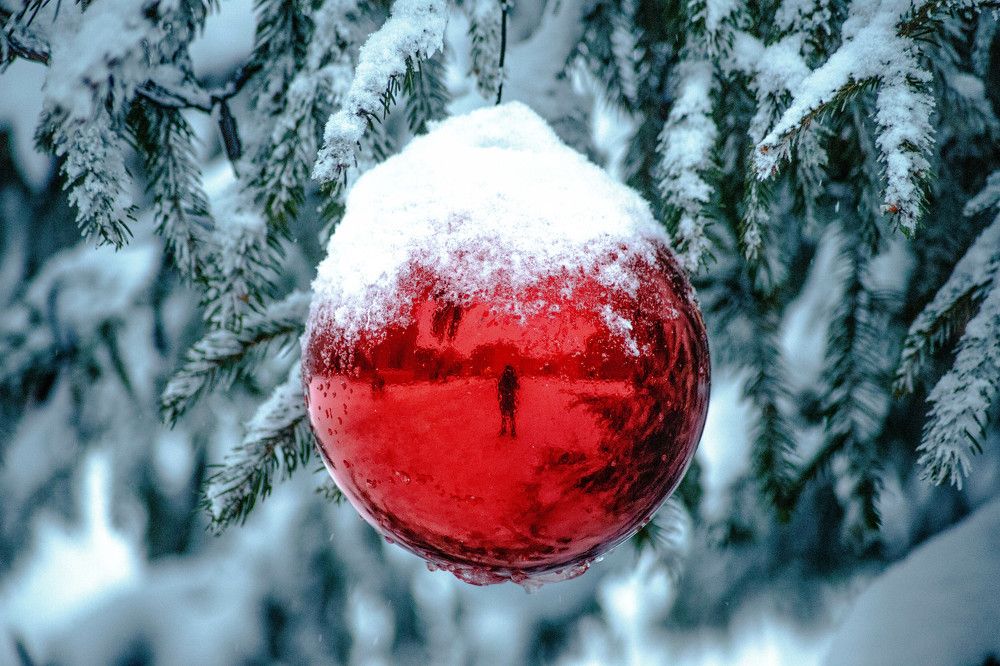 Photograph by Дима Захаров