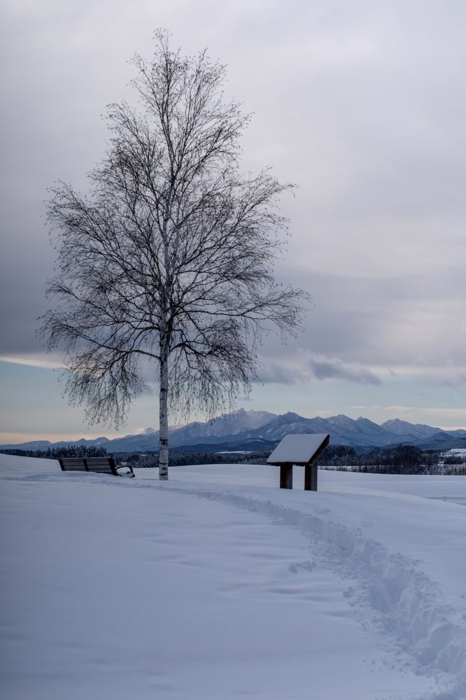 Photograph by Phùng Minh Long