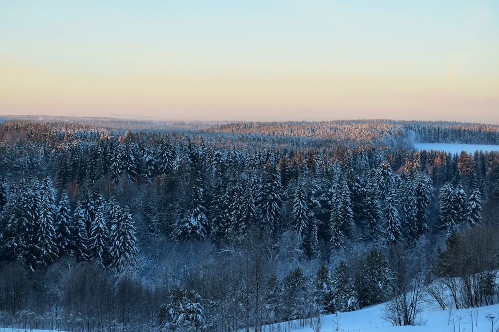 Photograph by Bulatova Maiya