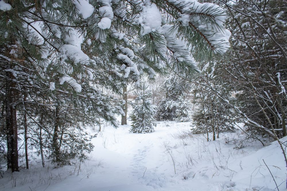 Photograph by Надежда Ржевская