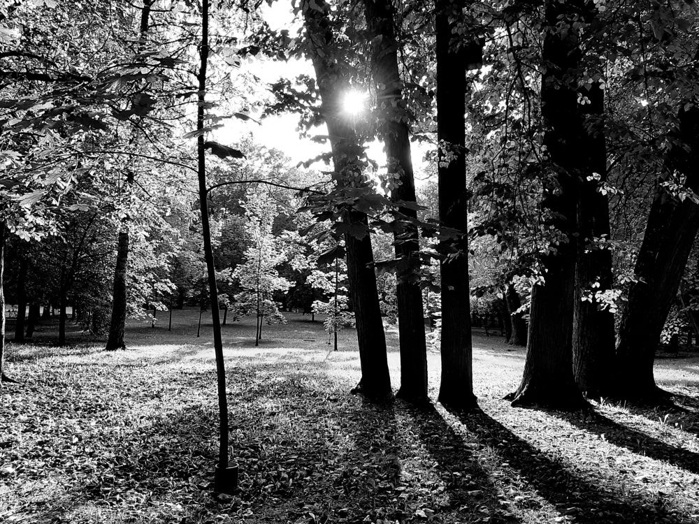 Photograph by Alevtina