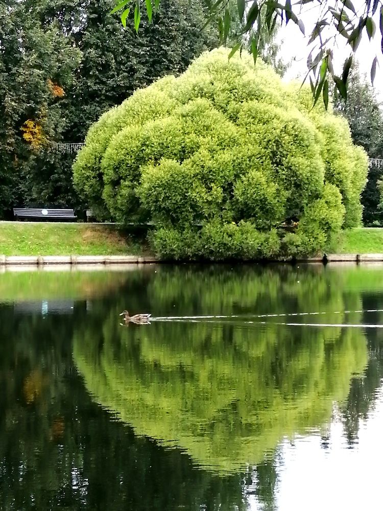 Photograph by Светлана Веселовская