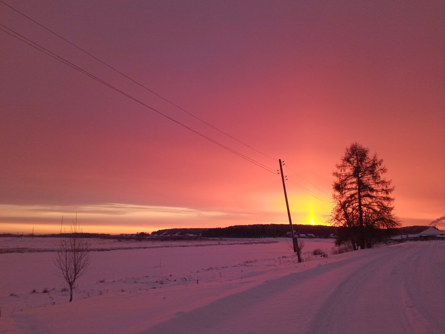 Photo #6959928