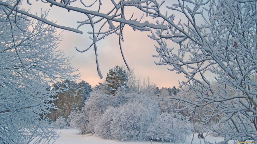 Photograph by Татьяна Мазепова